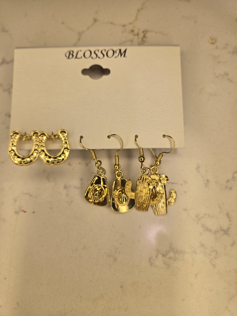 Western Charm Earring Set (Stainless Steel) - Picture 3 of 3